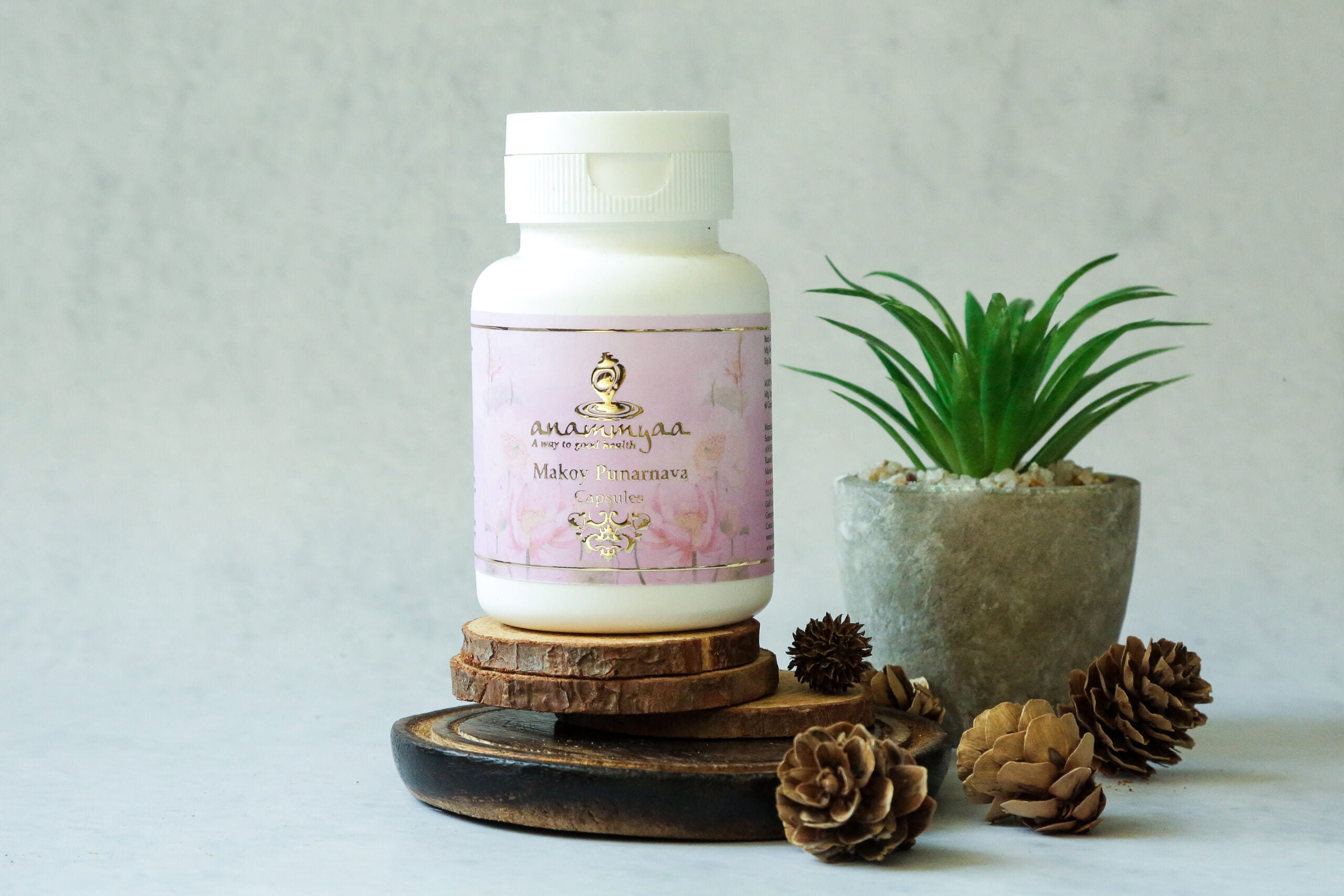 Anammyaa Makoy Punarnava