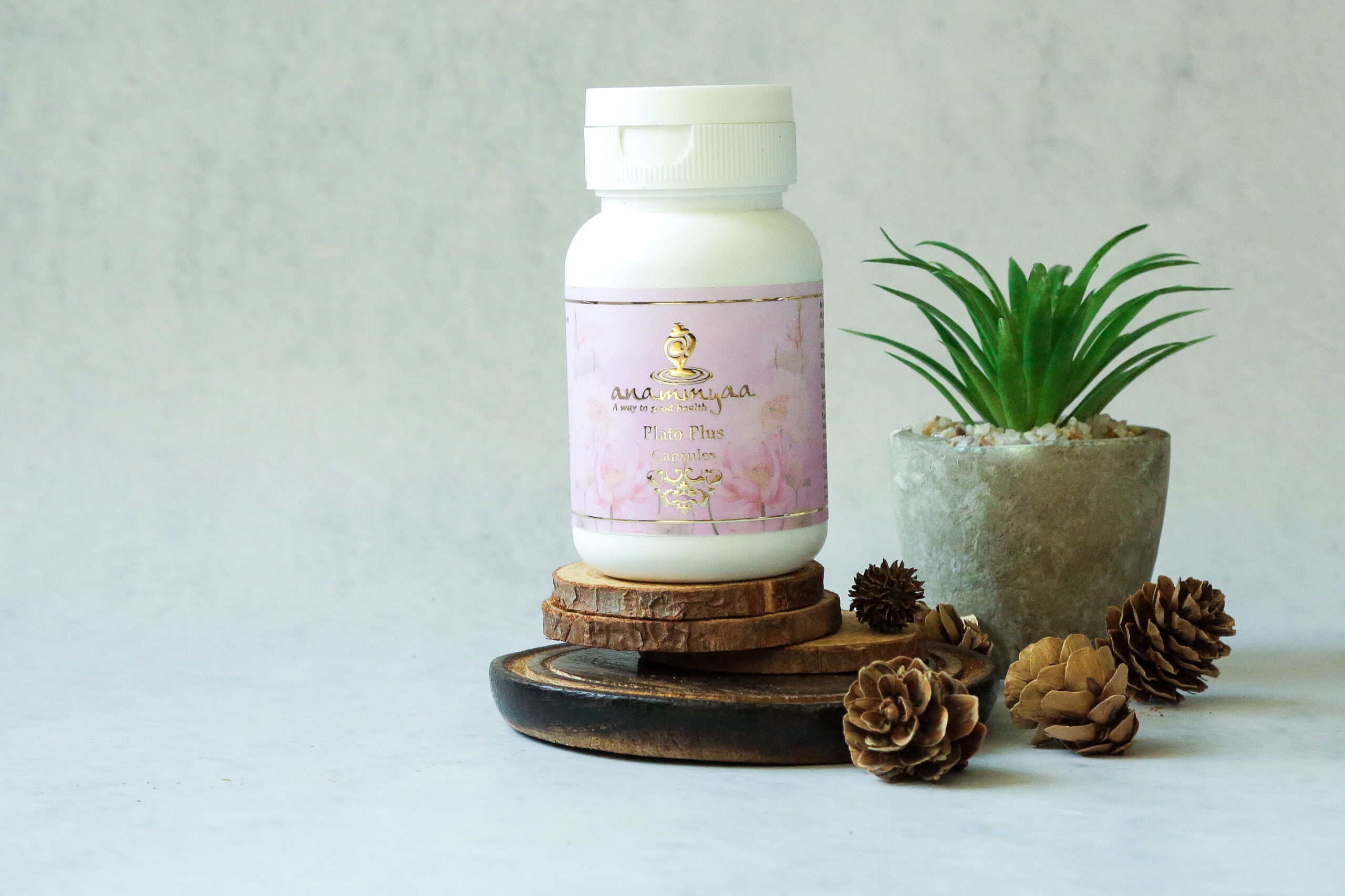 Anammyaa Plato Plus