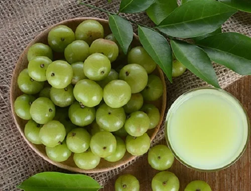 Vedic Diet
