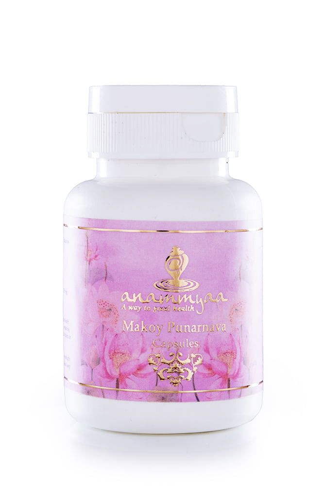 Anammyaa Makoy Punarnava - Image 2