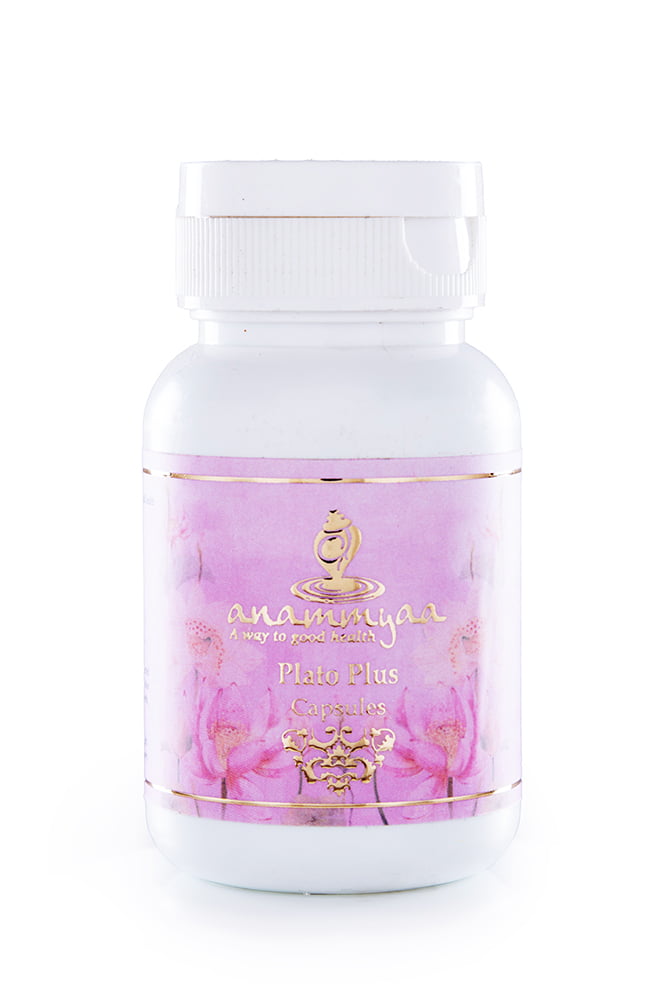 Anammyaa Plato Plus - Image 2