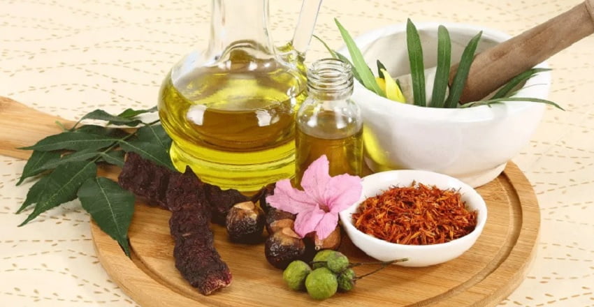 Do You Have Dengue? Try Anammyaa Plato Plus – A Natural Ayurvedic Remedy