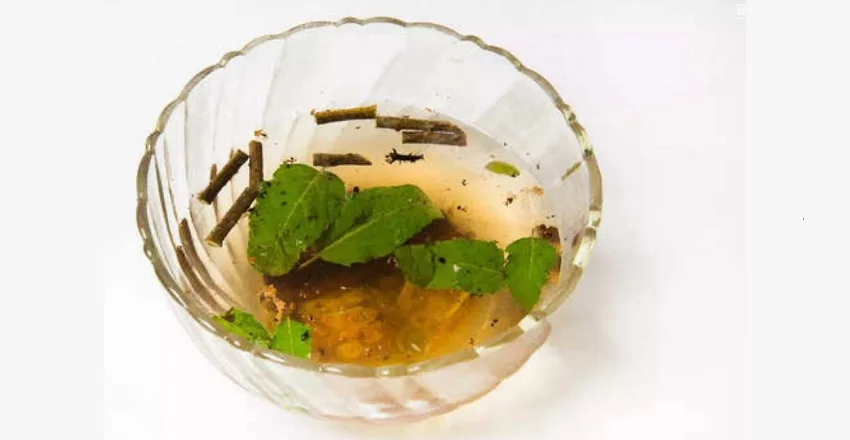Boost Immunity with Giloy and Tulsi