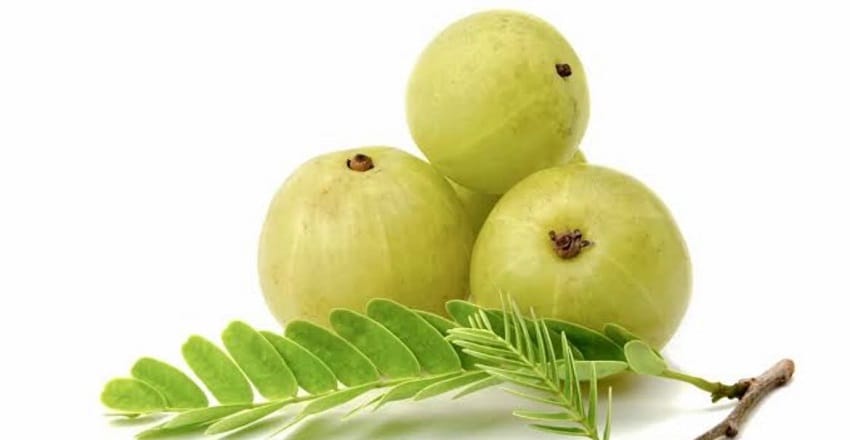 The Immortality Fruit: Amla (Indian Gooseberry)