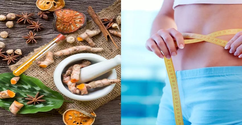 Panchakarma therapy for weight management