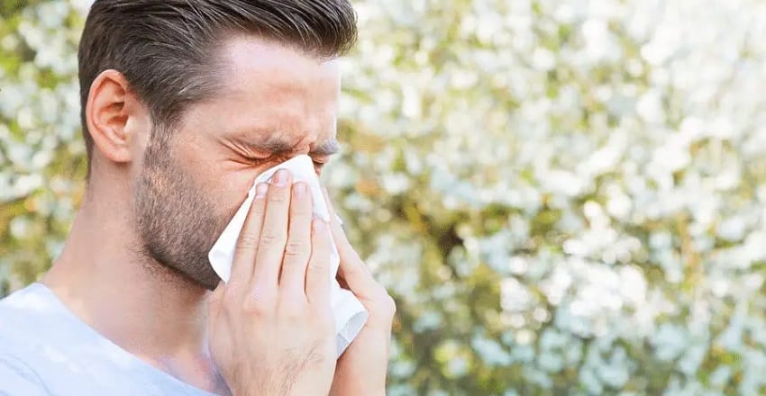 A collection of Ayurvedic herbs like turmeric, giloy, and tulsi used as natural remedies for allergies.