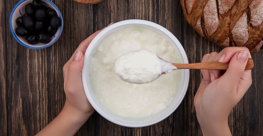 Curd in Ayurveda: A Double-Edged Delight for Digestion and Beauty