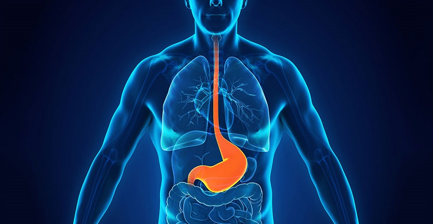 Glass of warm water with lemon and honey for acidity relief