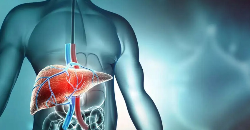 Liver Cirrhosis Cure in Ayurveda: Natural Healing through Ancient Wisdom