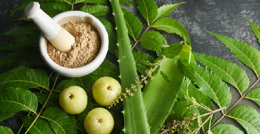 Natural SPF Sunscreen in Ayurveda: Protecting Your Skin the Ancient Way