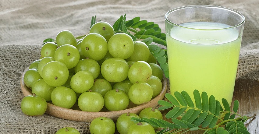 Fresh Amla Juice with Chlorophyll Drops — An Ayurvedic Elixir for Immunity, Detox & Radiance
